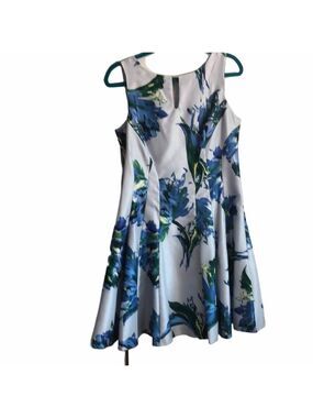 Blue Floral Dress